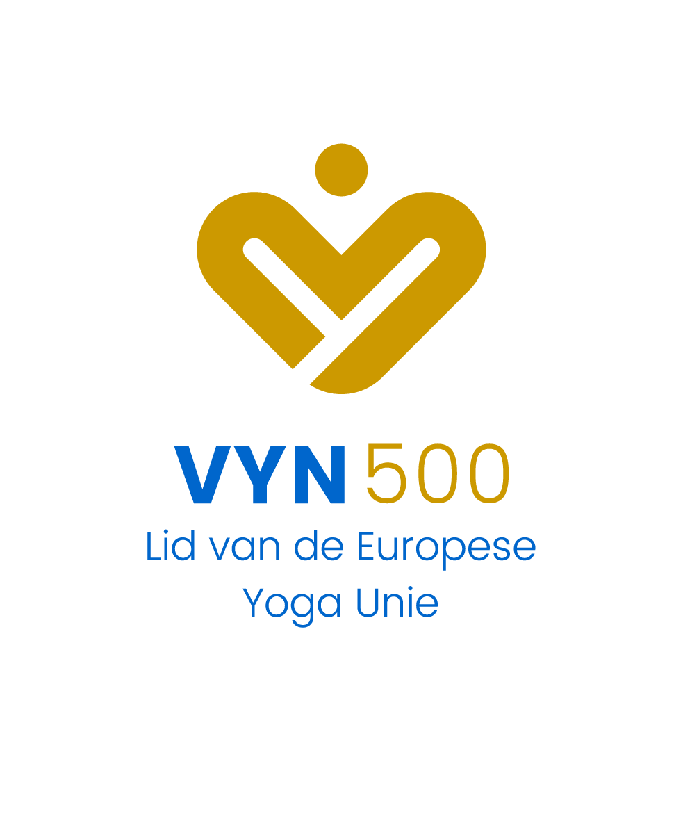 VYN 2022 logo 500 kleur RGB